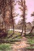Ai Prati di Castello- Idillio boschereccio-1889
