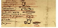 Michelangelo (Lista della spesa)